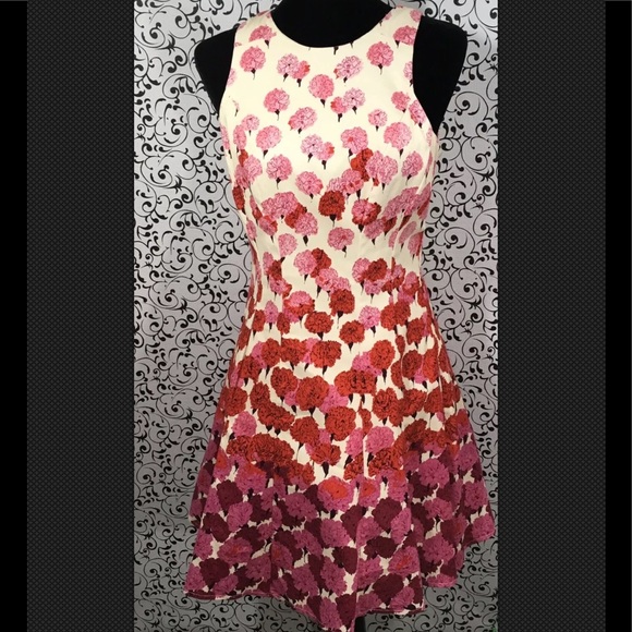 Maggy London Dresses & Skirts - Maggy  London Pink-Cream Carnation Dress